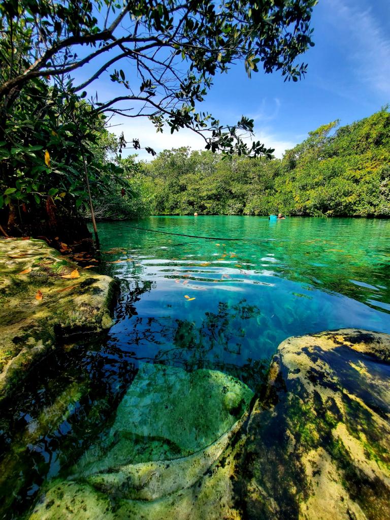 Casa Cenote