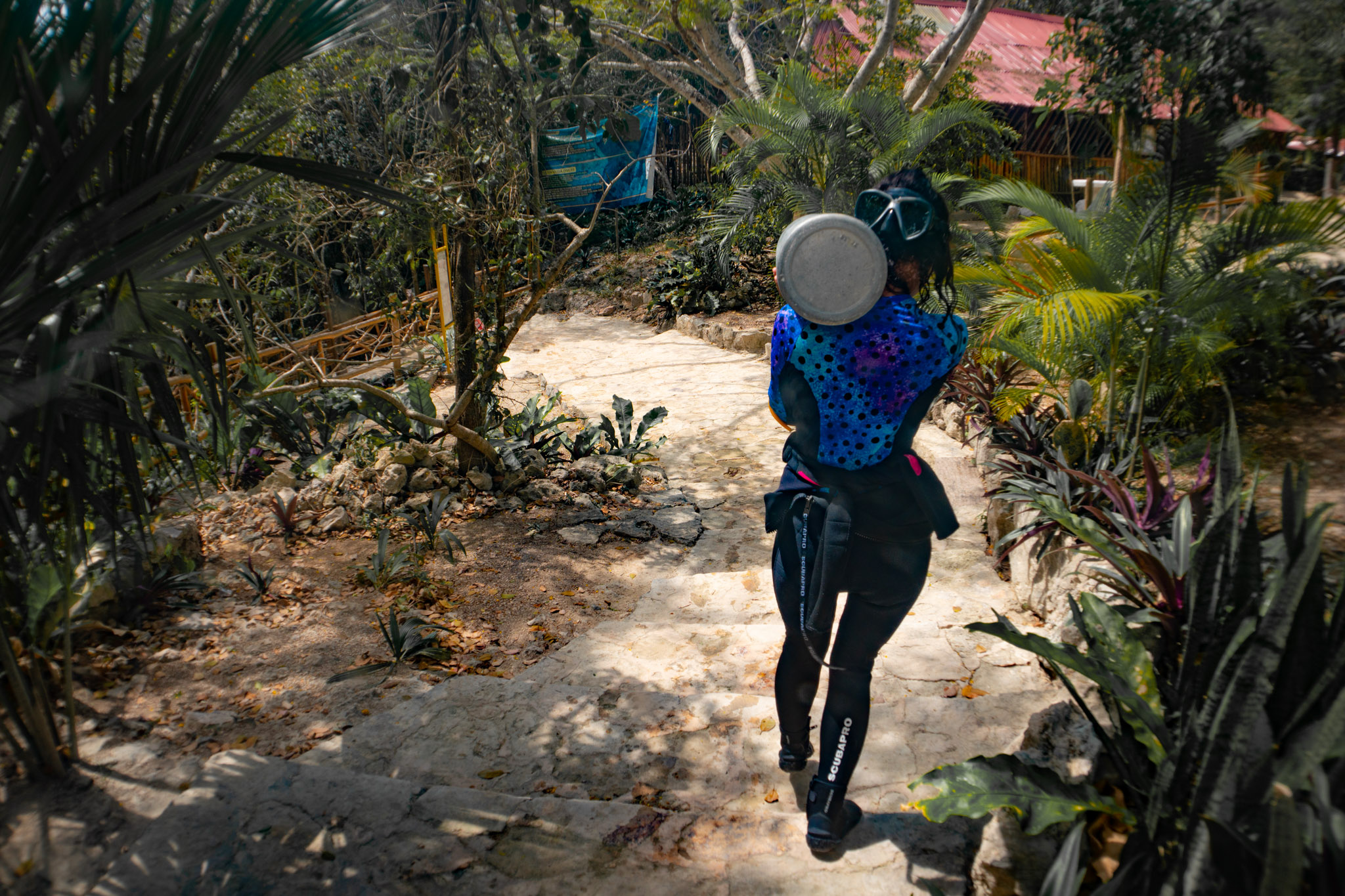 How to Choose the Right Cenote Dive for Your Certification Level
