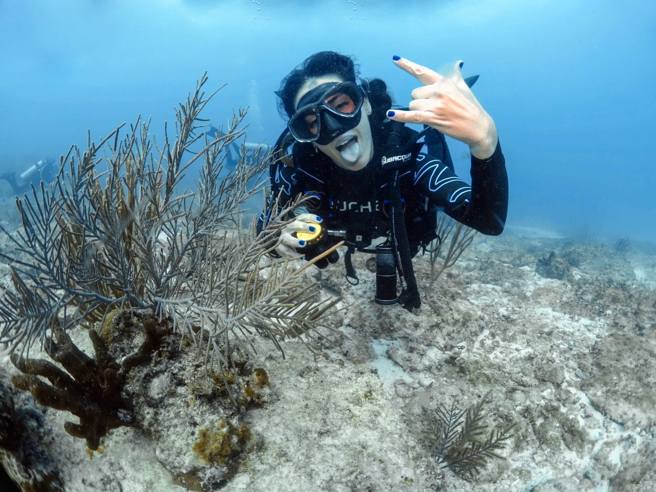 10 Top Tips to Find the Best Scuba Diving Instructor: Your Guide to THE Ultimate Underwater Adventure
