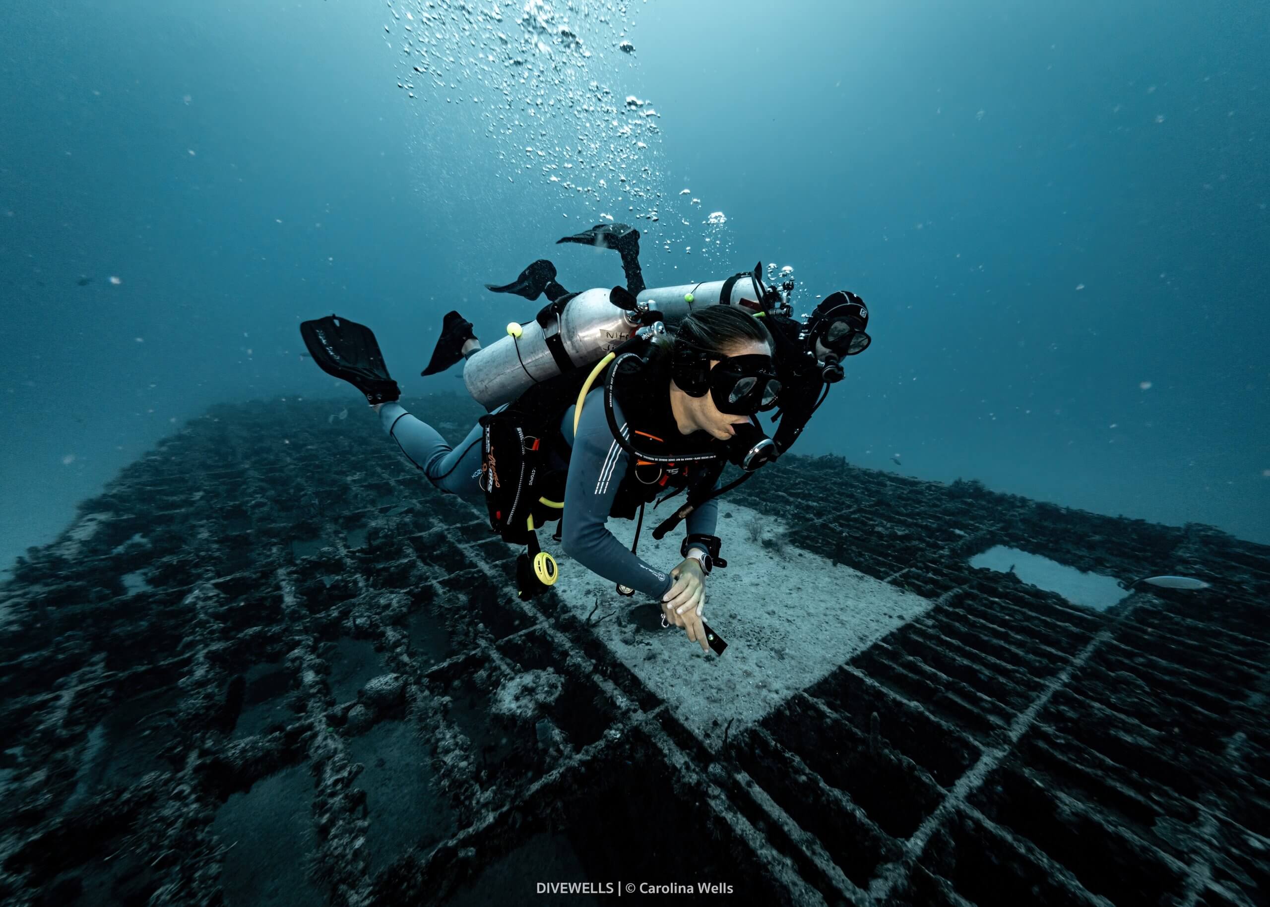 Scuba Diving Foundations: Buoyancy, Trim and Propulsion