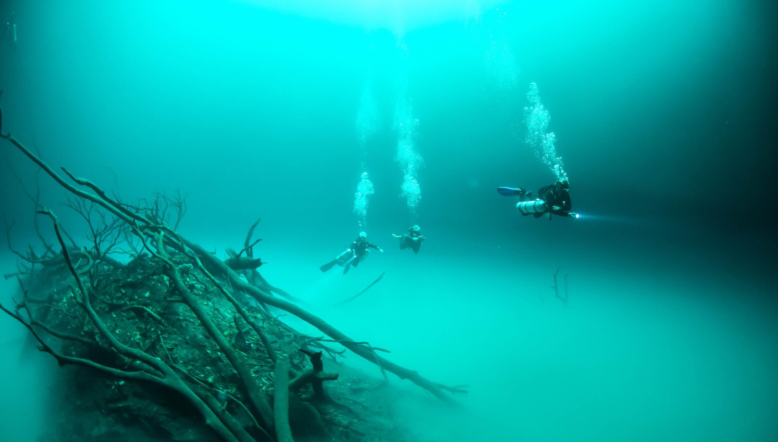A Diver’s Guide to Cenote Formations: Stalactites, Stalagmites and Ancient Caves